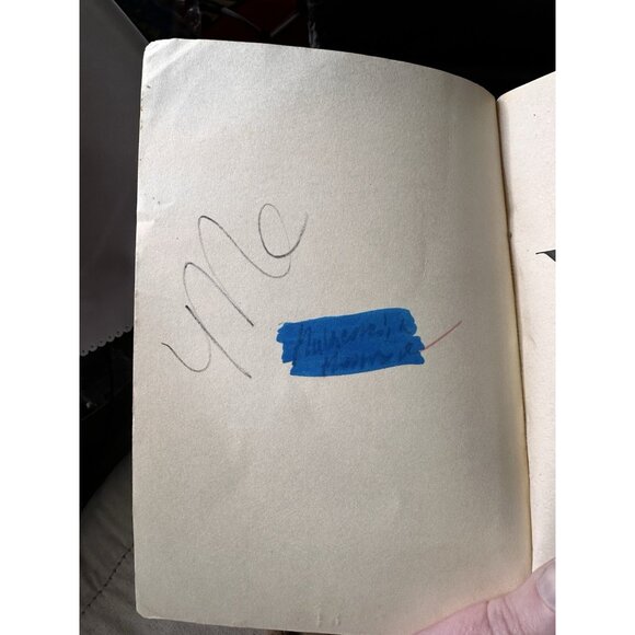 My Sister The Vampire book 3 And 4 Re-Vamped! Vampilicious! Sierra Mercer READ - Picture 7 of 16